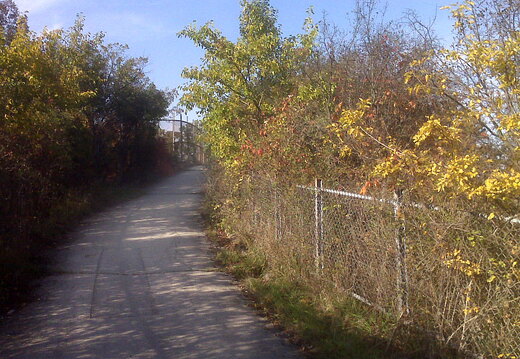 Des Plaines River Trail