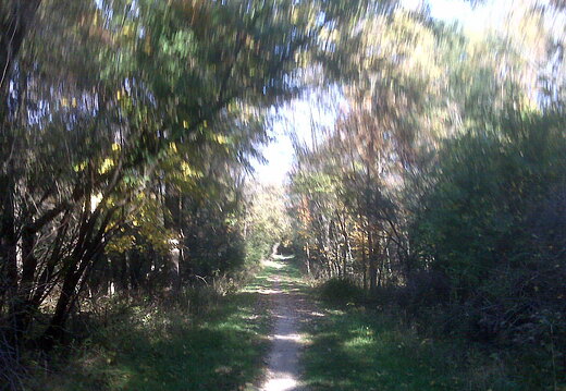 Des Plaines River Trail