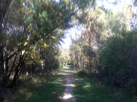 Des Plaines River Trail