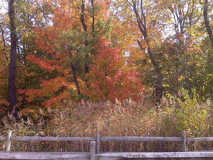 Des Plaines River Trail