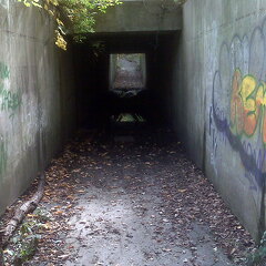 Des Plaines River Trail