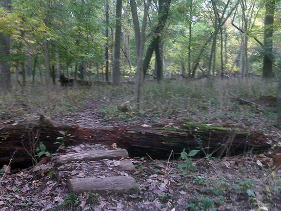 Des Plaines River Trail