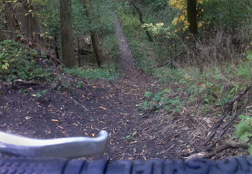 Des Plaines River Trail