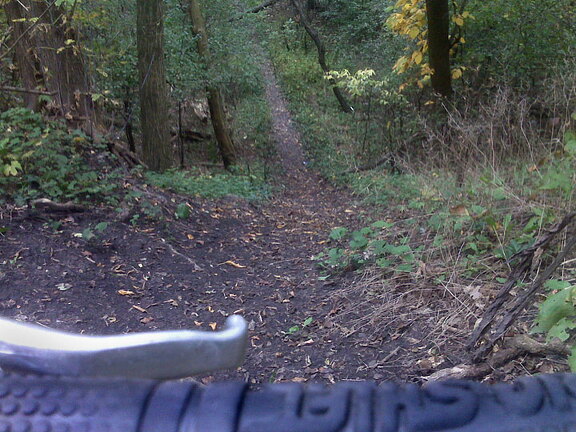 Des Plaines River Trail