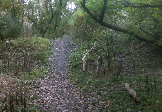 Des Plaines River Trail