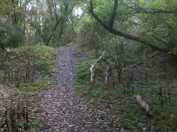 Des Plaines River Trail