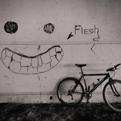 Des Plaines River Trail