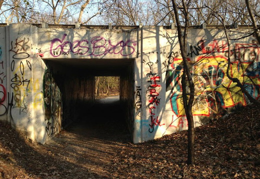 Des Plaines River Trail