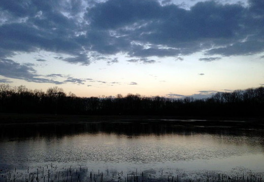 Des Plaines River Trail