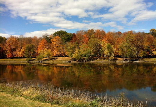 Des Plaines River Trail