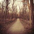 Des Plaines River Trail