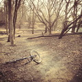 Des Plaines River Trail