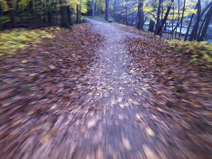 Des Plaines River Trail