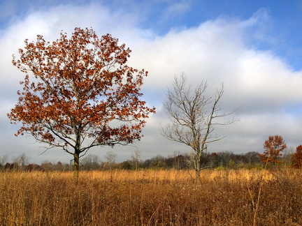 Des Plaines River Trail