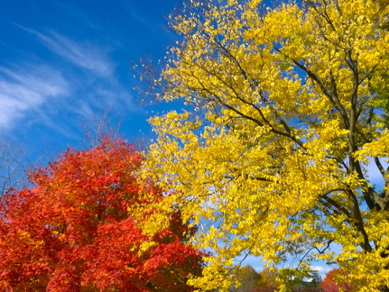 Des Plaines River Trail