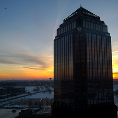 The Gallagher Centre