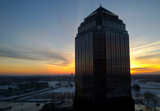 The Gallagher Centre