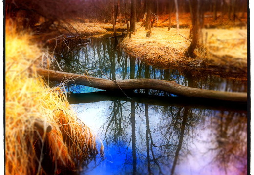 DesPlainesRiverTrail