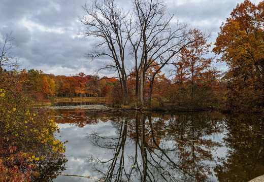 PXL 20201025 142314502-01x