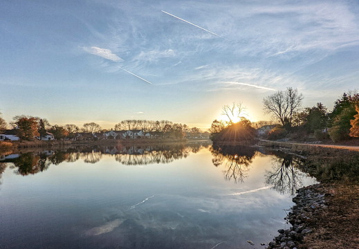 PXL 20211107 130306751-01