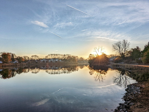 PXL 20211107 130306751-01