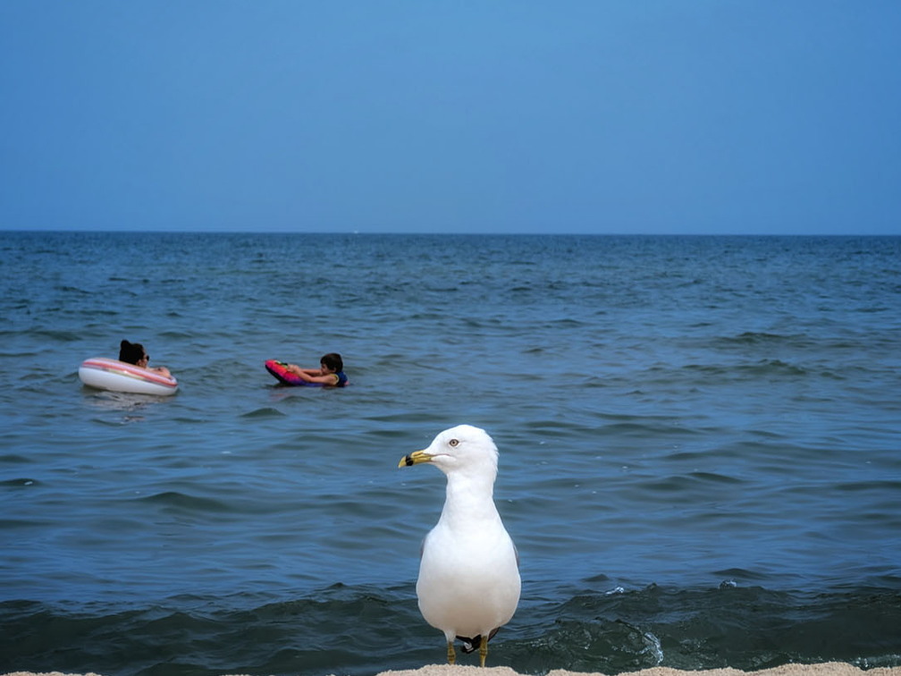 Weko-Beach-PXL 20240730 155236698