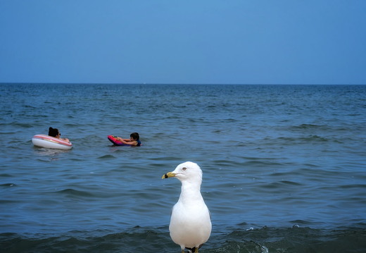 Weko-Beach-PXL 20240730 155236698