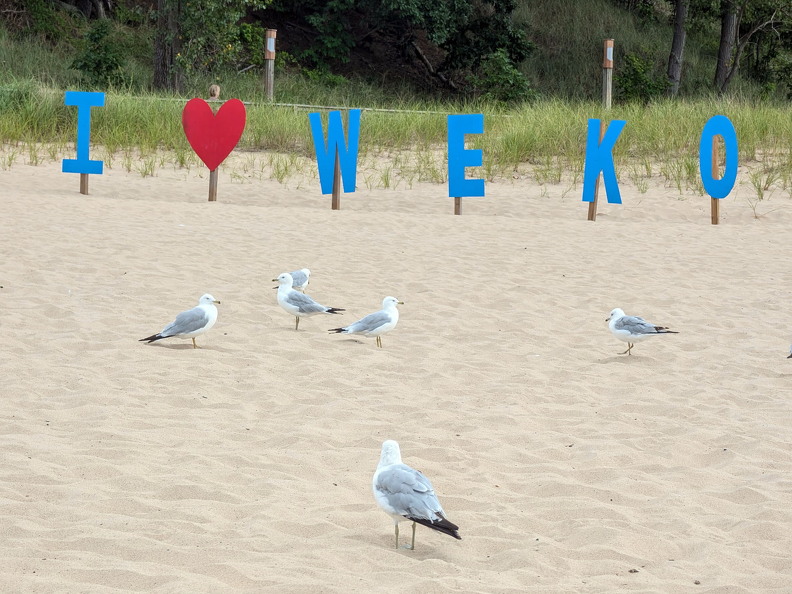 PXL 20240728 213115882