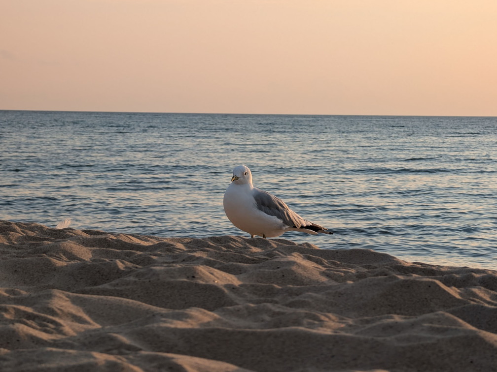 PXL 20240729 003605933