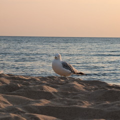 PXL 20240729 003605933