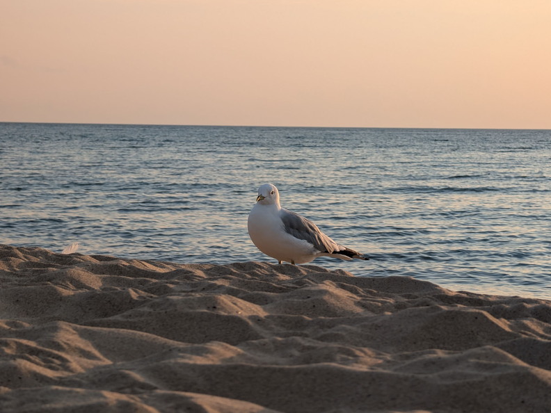 PXL 20240729 003605933