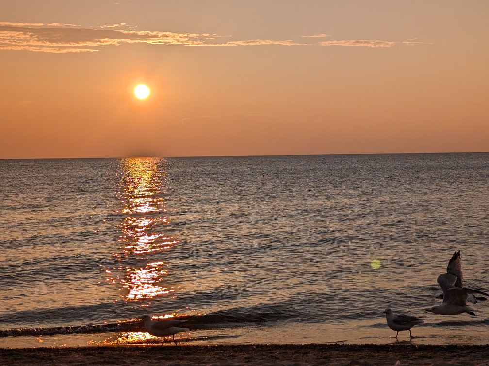 PXL 20240729 004410870