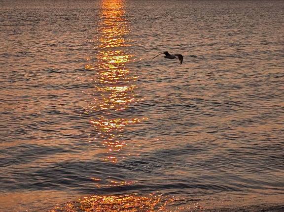 PXL 20240729 005028692 