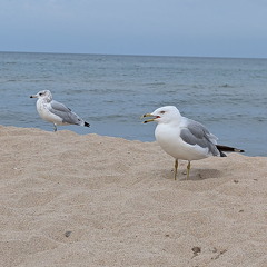 PXL 20240729 144218085