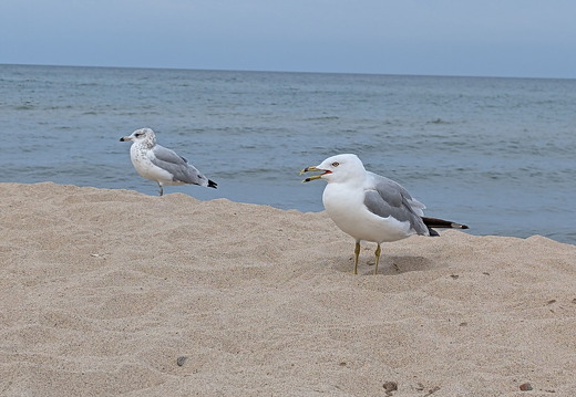 PXL 20240729 144218085