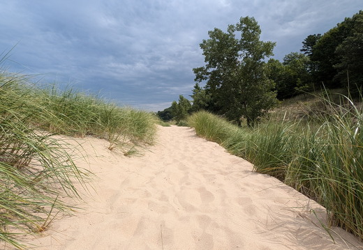 PXL 20240729 155934171