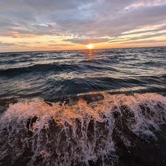 PXL 20240730 005530345