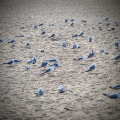 PXL 20240731 134440119 