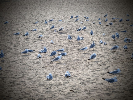 PXL 20240731 134440119 