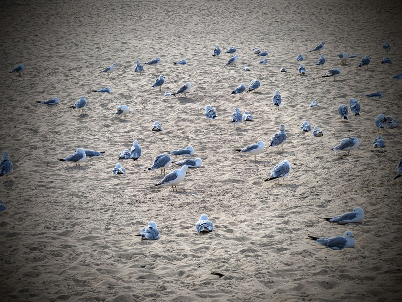 PXL 20240731 134440119 