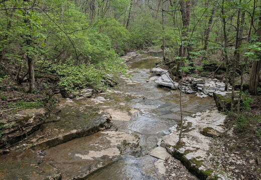 PXL 20250419 155932256