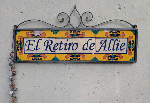 PXL 20250419 212757778