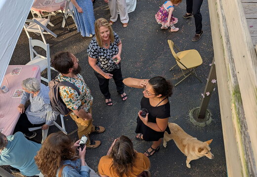 PXL 20250419 225100756