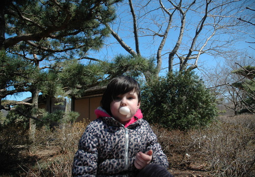 aiyana-botanical-gardens