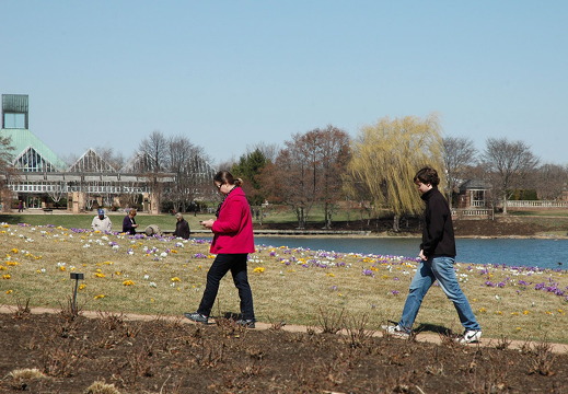 botanical-gardens-ash4