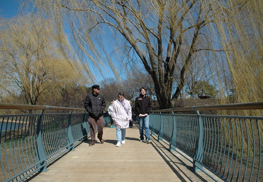 botanical-gardens-ash5