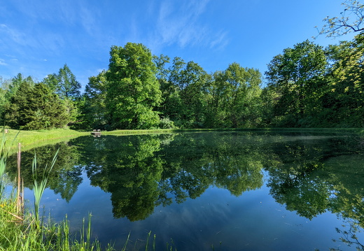 PXL 20220515 133830674