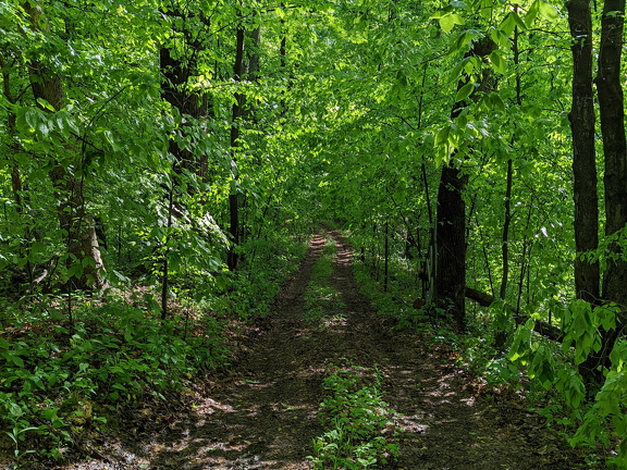 PXL 20220515 135059936