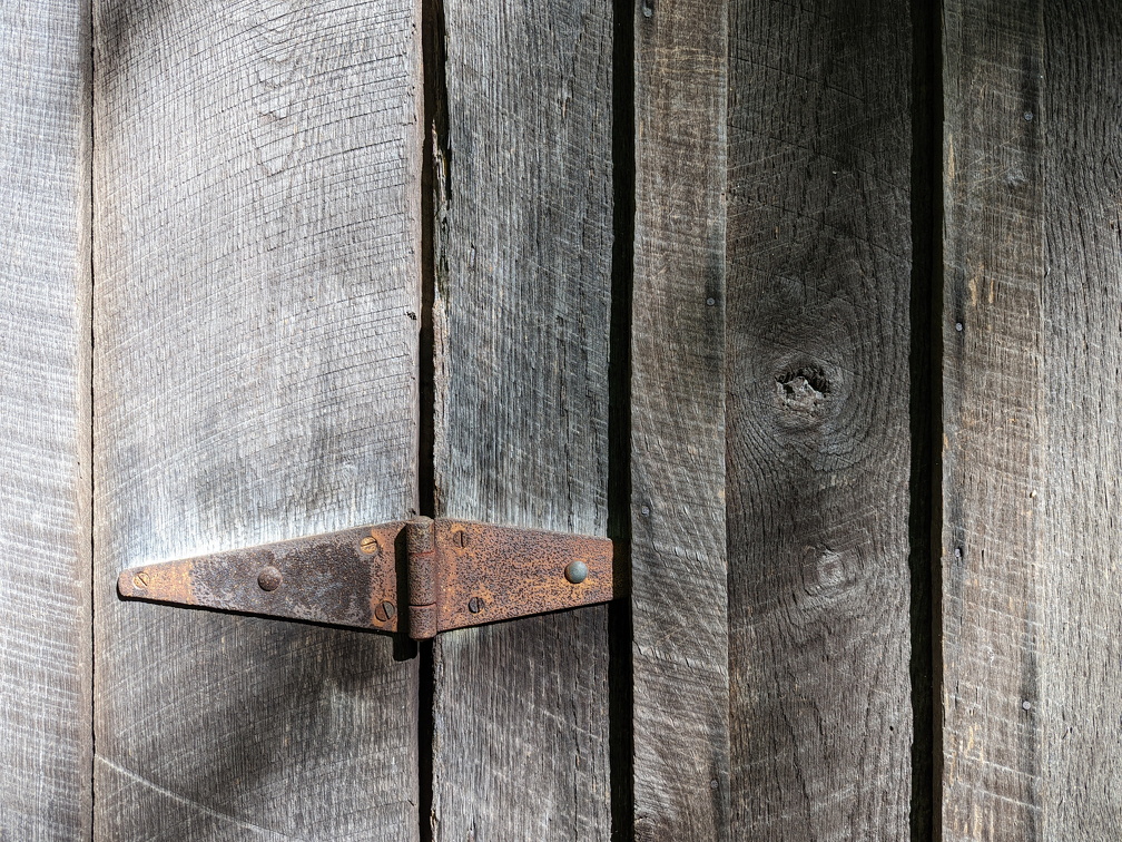 PXL 20220515 141257699