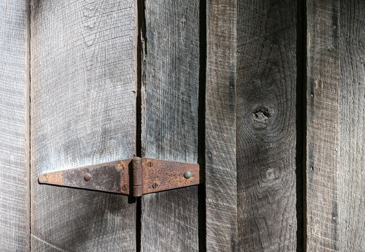 PXL 20220515 141257699